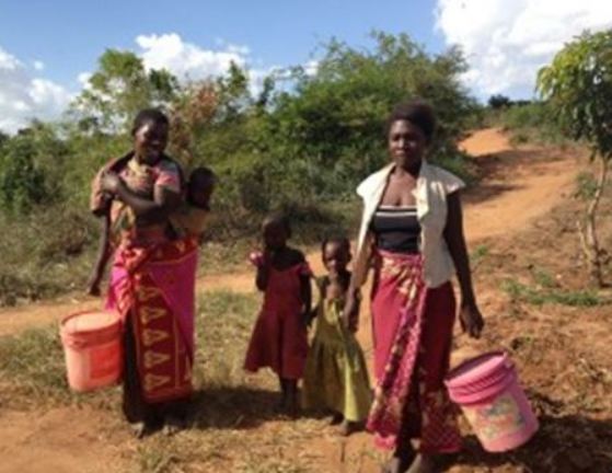 Integrated Community Based Child Survival, Reproductive Health and ...
